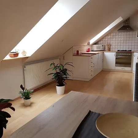 Apartmán Pod Zámkem Mikulov