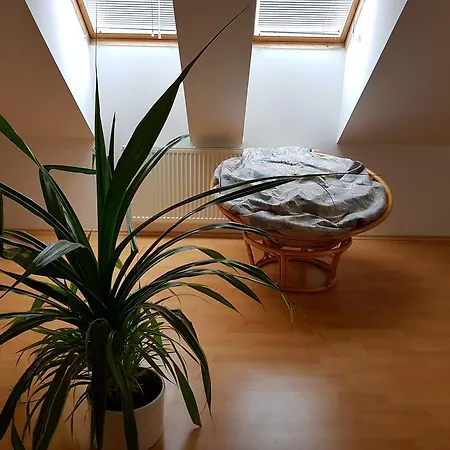 Apartmán Pod Zámkem Apartman